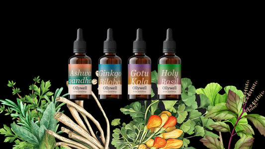 Which plants do we count as adaptogens? The most effective adaptogenic herbs