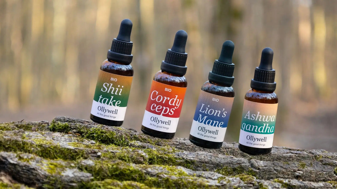 Liquid adaptogen extracts (Cordyceps, Shiitake, Lion's Mane, Ashwagandha) from Ollywell on a tree trunk.