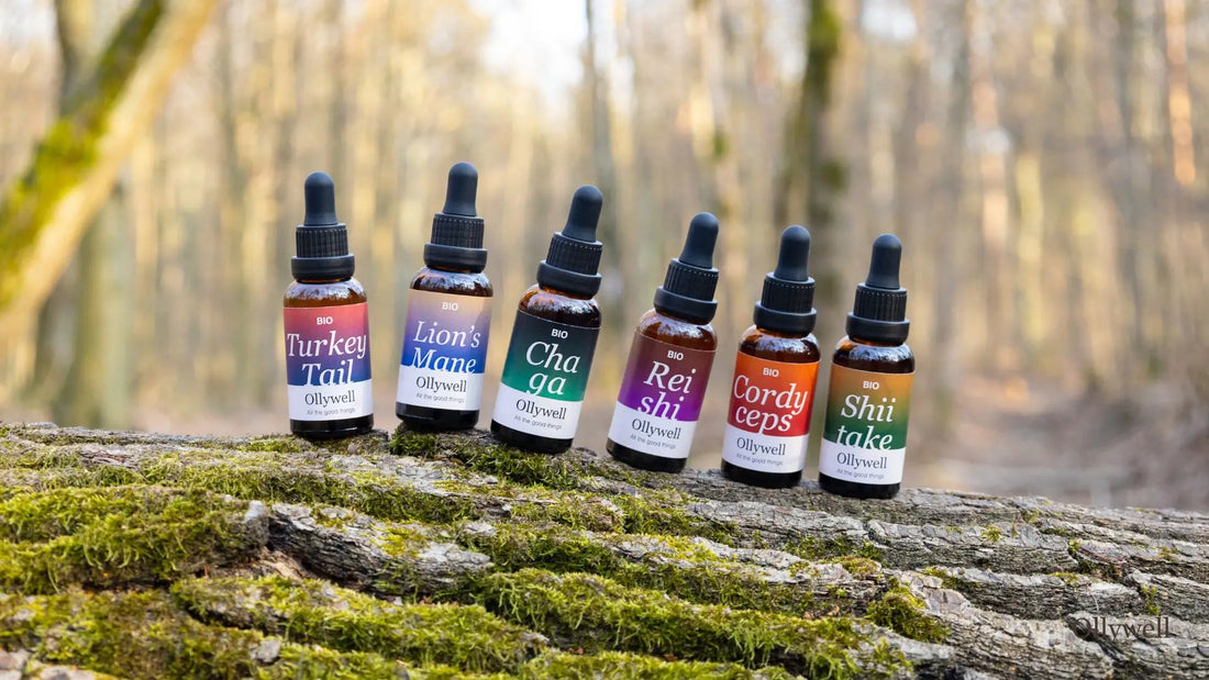 Functional mushroom extracts from Ollywell.