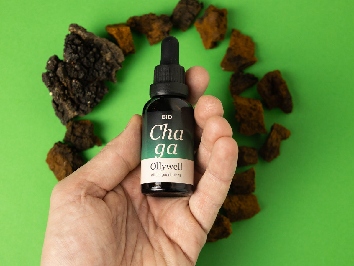 BIO Chaga: Antioxidant+