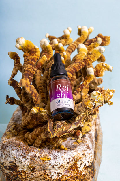 BIO Reishi: Spánek+