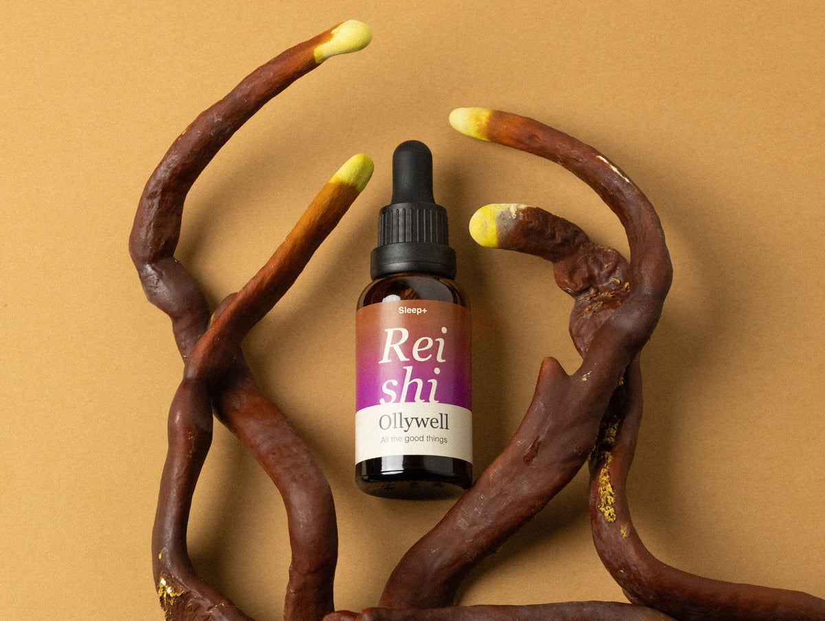 BIO Reishi: Spánek+