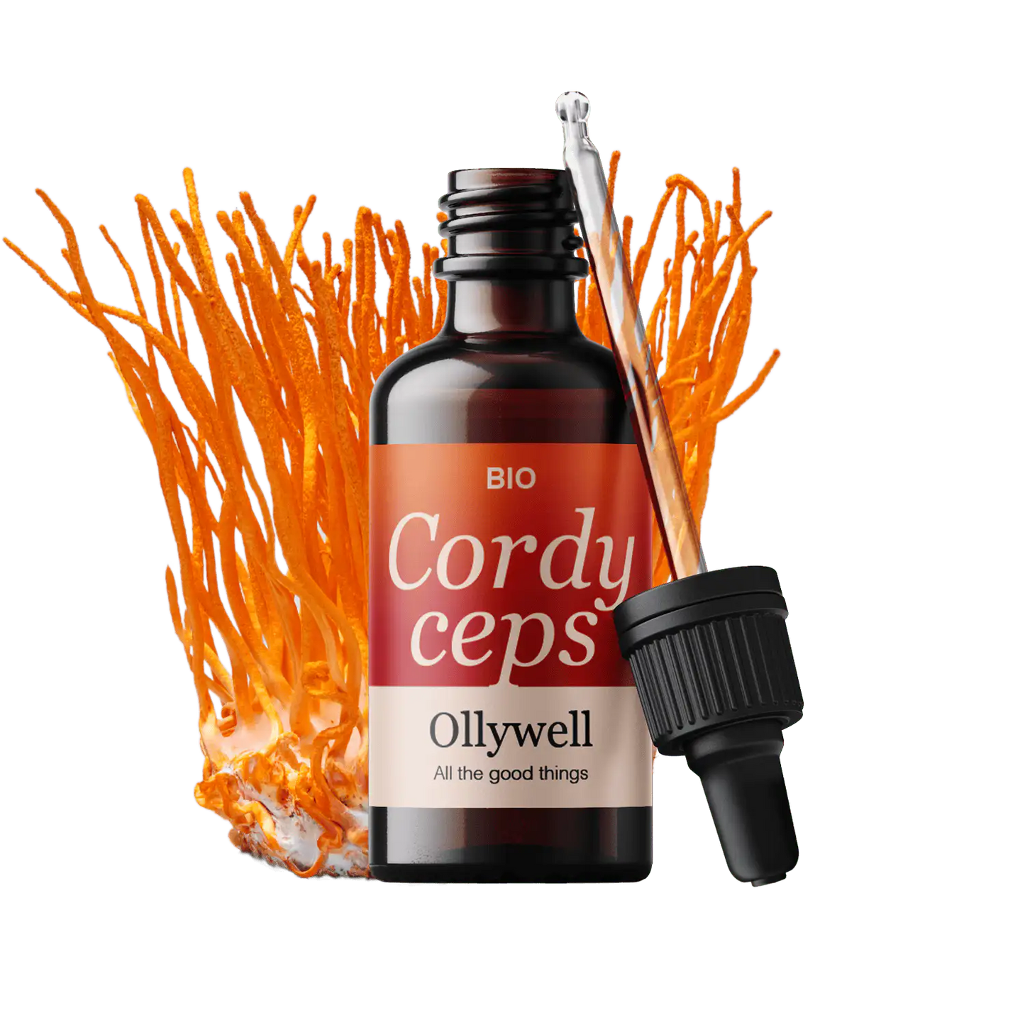 BIO Cordyceps: Energie+
