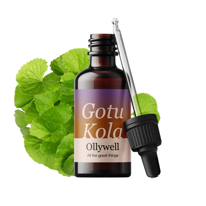 Gotu Kola: Obnova+