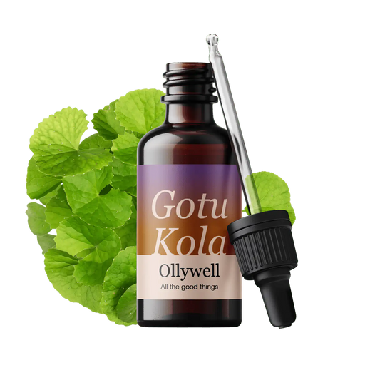 Gotu Kola: Obnova+