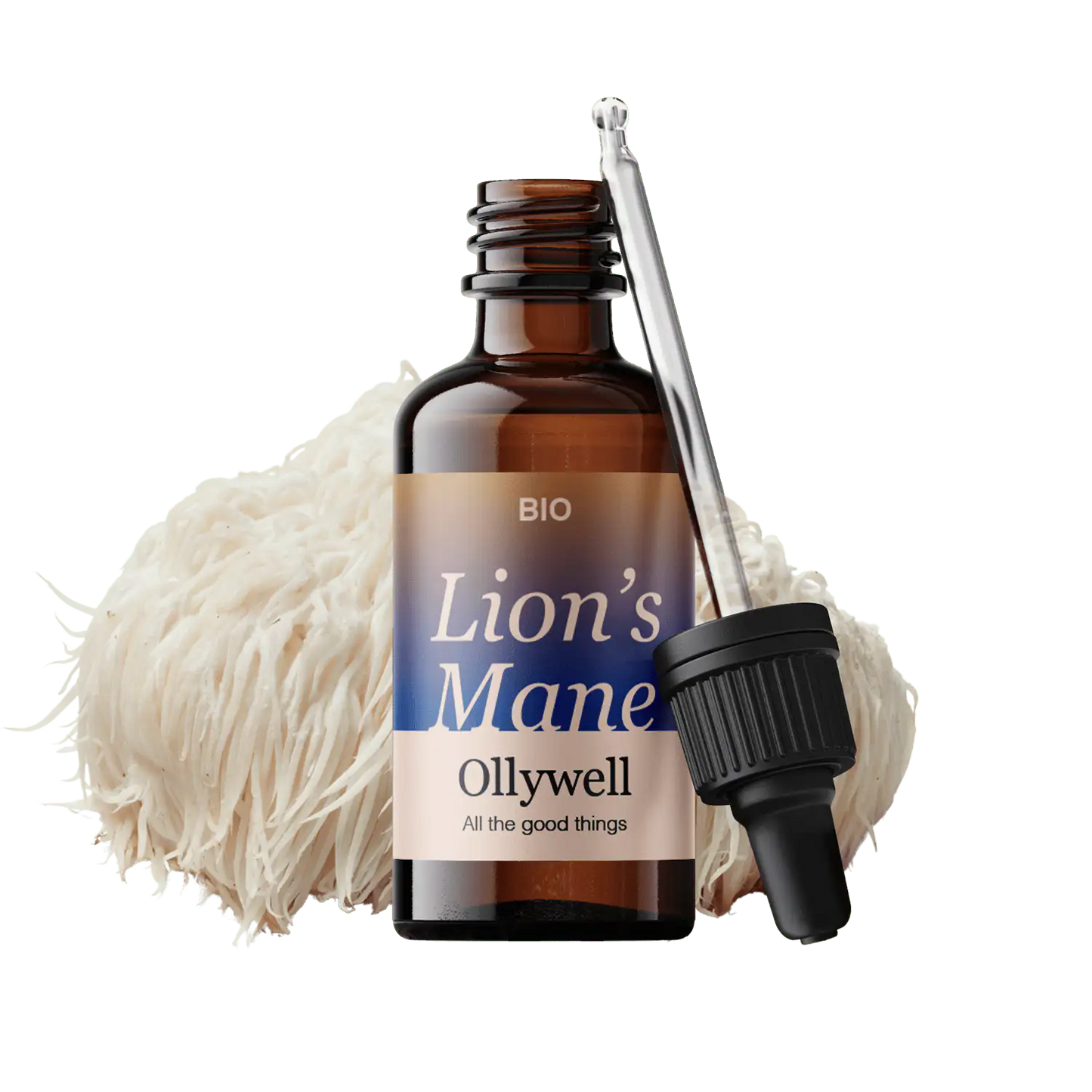 BIO Lví hříva Brain+